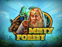 Misty Forest screenshot
