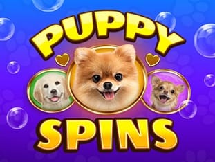 Puppy Spins screenshot